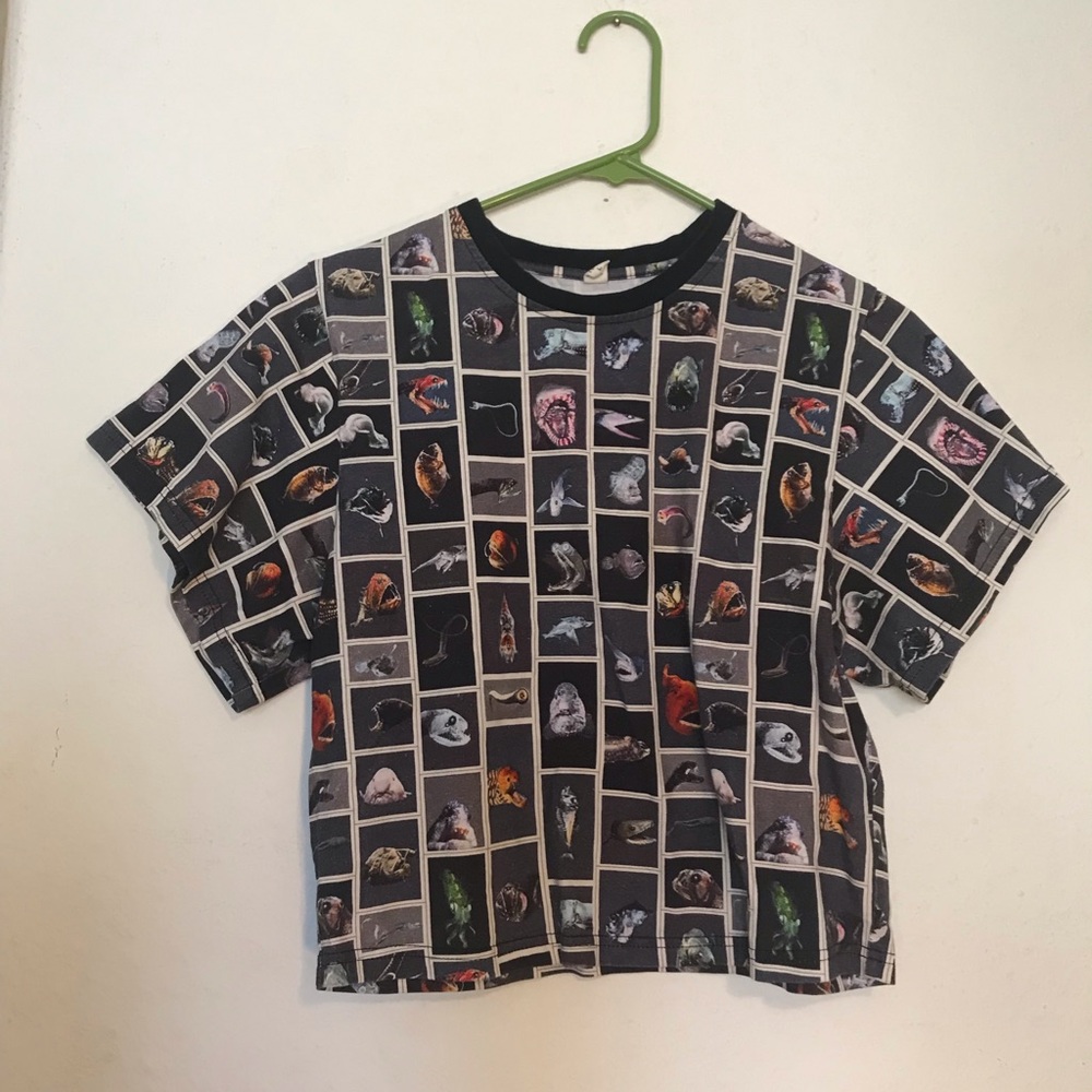 RESERVED--MENDED Cute fish Fashion Brand Company FBC Penelope gazin crop tee